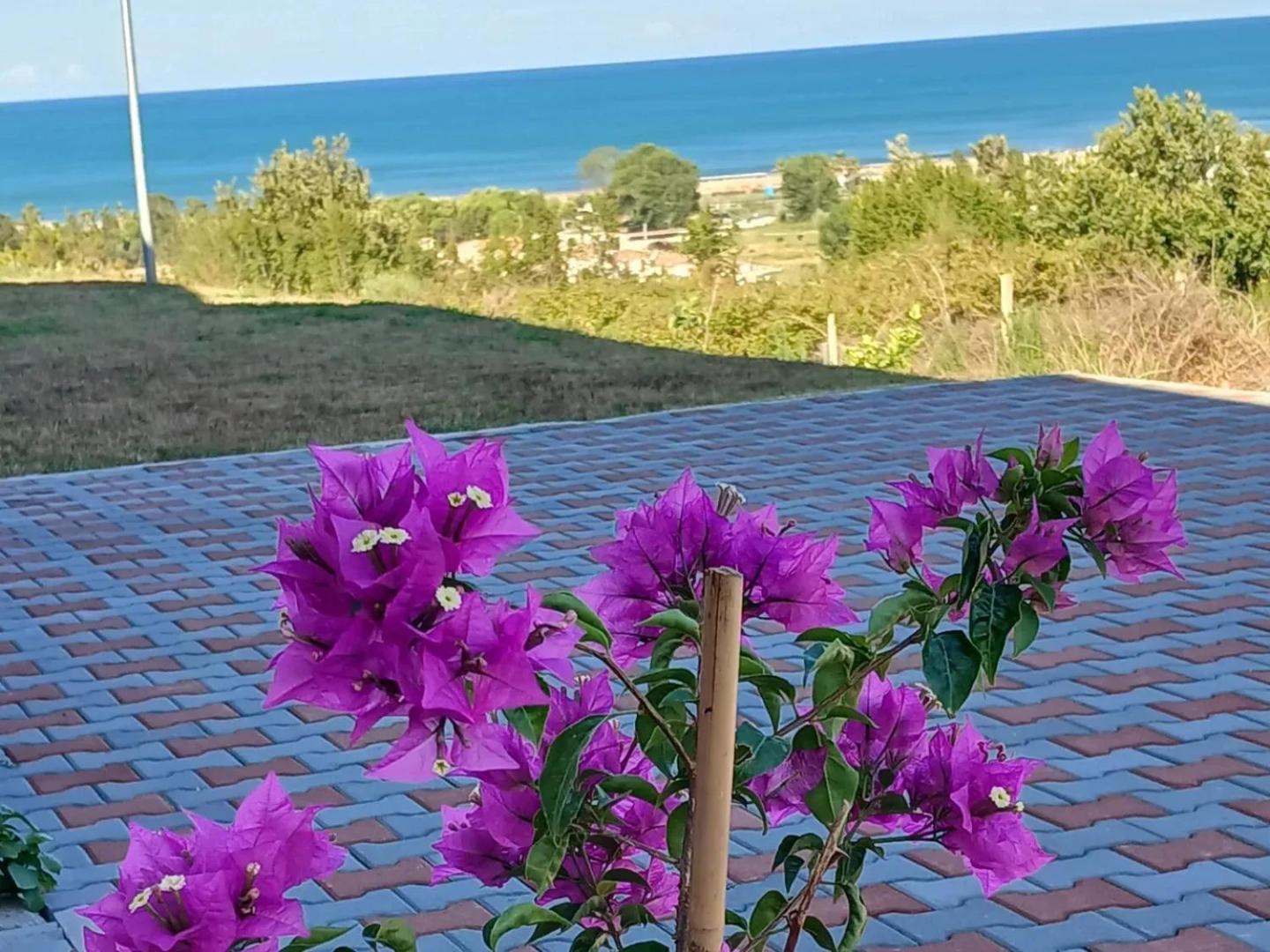 Sol Apartments Gjiri Lalzit Durrës Zewnętrze zdjęcie